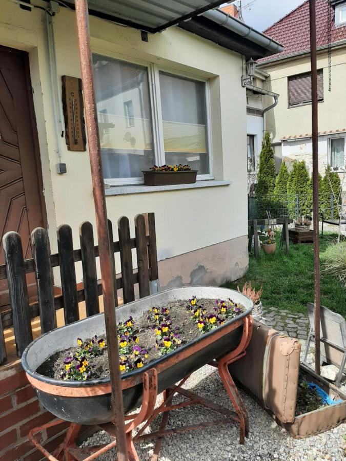 Apartment Sorgenfrei Caputh Exteriér fotografie